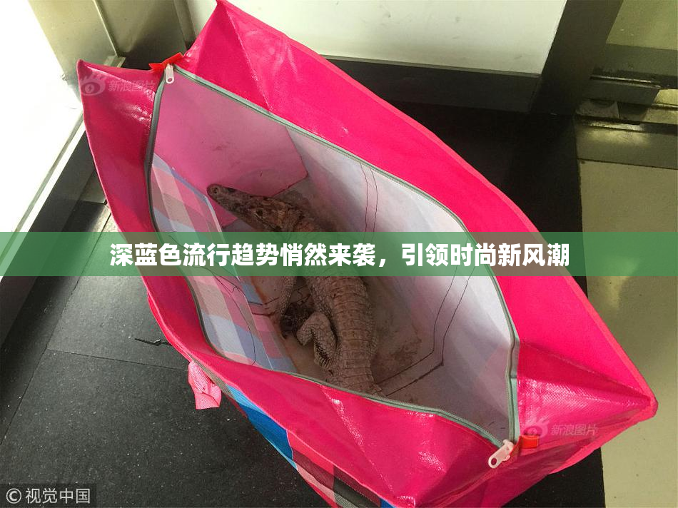 深蓝色流行趋势悄然来袭，引领时尚新风潮