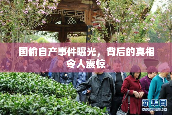 国偷自产事件曝光，背后的真相令人震惊