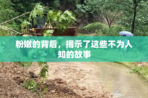 粉嫩的背后，揭示了这些不为人知的故事