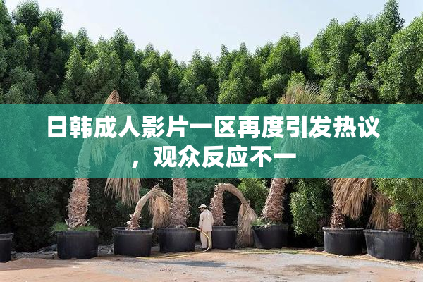 日韩成人影片一区再度引发热议，观众反应不一