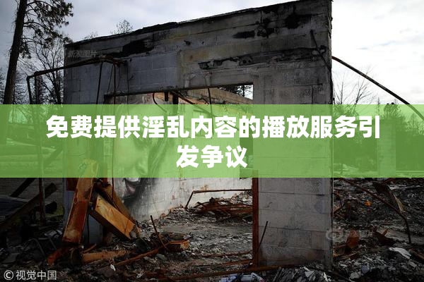 免费提供淫乱内容的播放服务引发争议