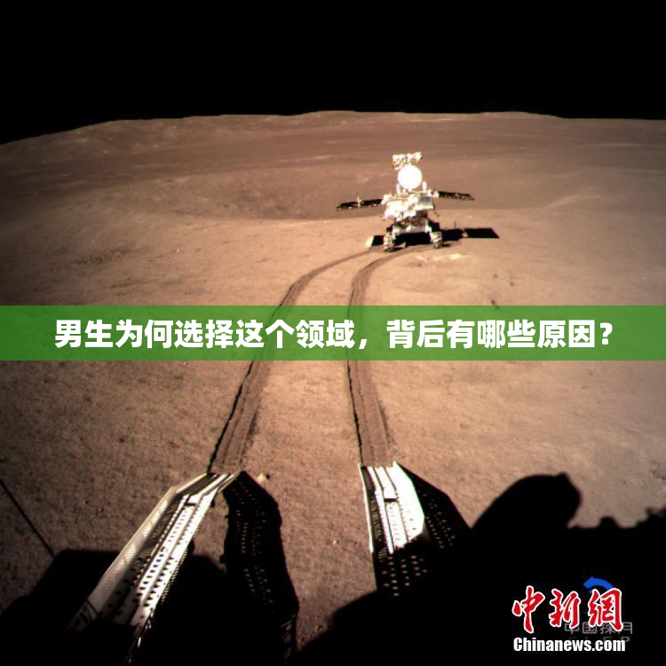 男生为何选择这个领域，背后有哪些原因？