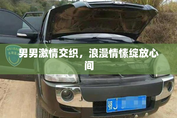 男男激情交织，浪漫情愫绽放心间