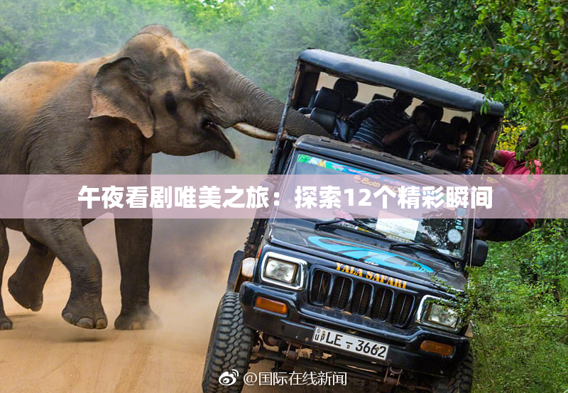 午夜看剧唯美之旅：探索12个精彩瞬间