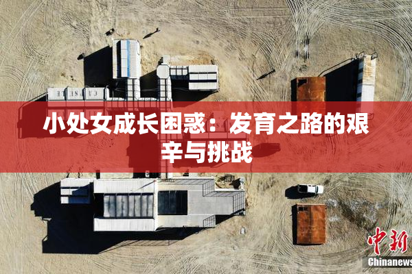 小处女成长困惑：发育之路的艰辛与挑战