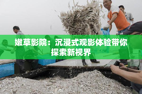 嫩草影院：沉浸式观影体验带你探索新视界