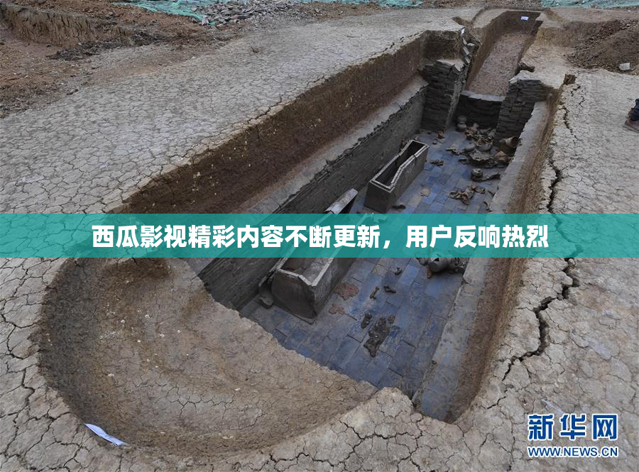 西瓜影视精彩内容不断更新，用户反响热烈