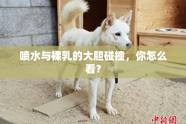 喷水与裸乳的大胆碰撞，你怎么看？
