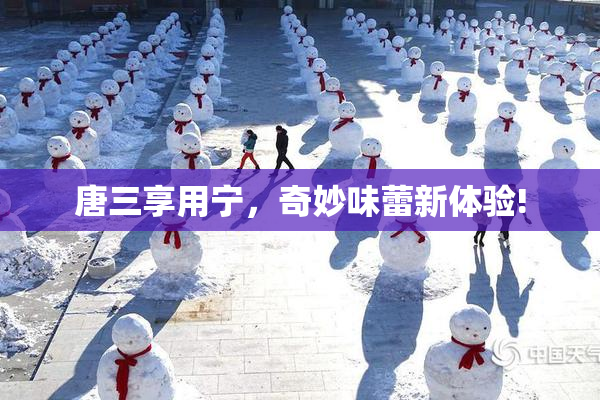 唐三享用宁，奇妙味蕾新体验!