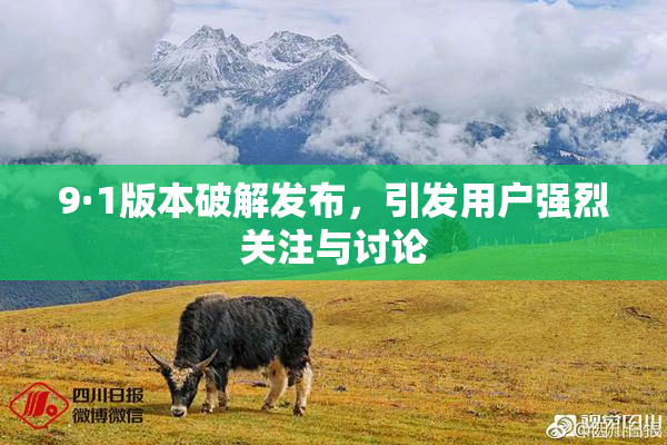 9·1版本破解发布，引发用户强烈关注与讨论