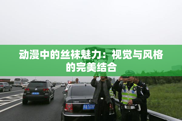 动漫中的丝袜魅力：视觉与风格的完美结合