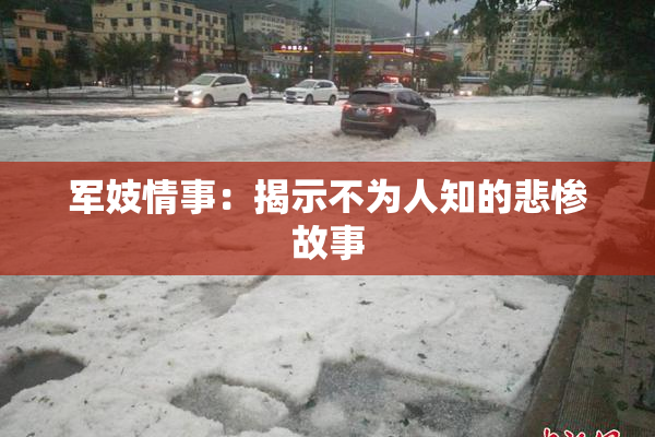 军妓情事：揭示不为人知的悲惨故事
