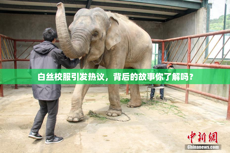 白丝校服引发热议，背后的故事你了解吗？