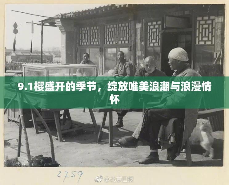 9.1樱盛开的季节，绽放唯美浪潮与浪漫情怀