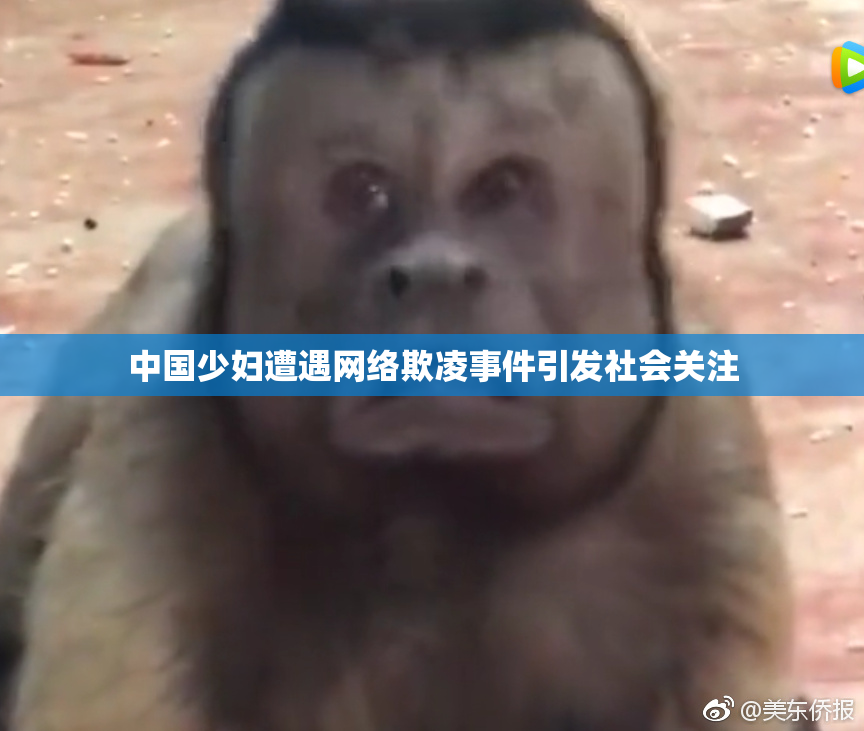 中国少妇遭遇网络欺凌事件引发社会关注