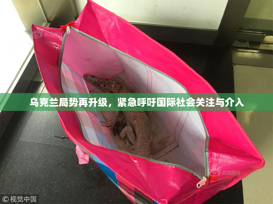 乌克兰局势再升级，紧急呼吁国际社会关注与介入