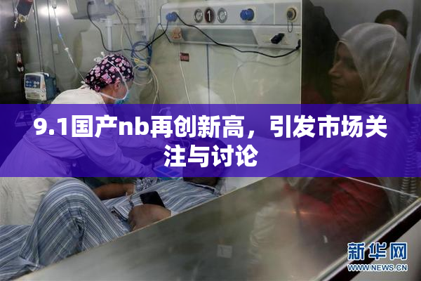 9.1国产nb再创新高，引发市场关注与讨论