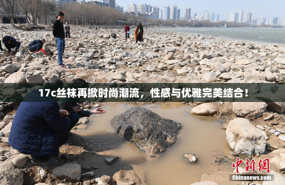 17c丝袜再掀时尚潮流，性感与优雅完美结合！