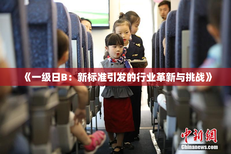 《一级日B：新标准引发的行业革新与挑战》