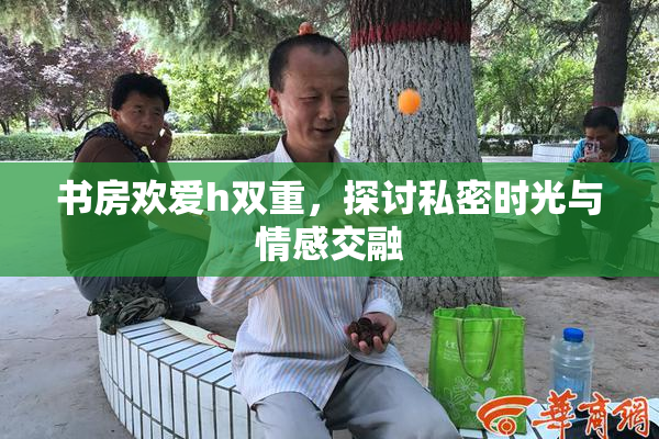 书房欢爱h双重，探讨私密时光与情感交融