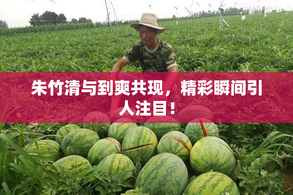 朱竹清与到爽共现，精彩瞬间引人注目！