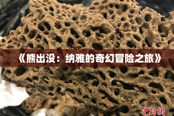 《熊出没：纳雅的奇幻冒险之旅》