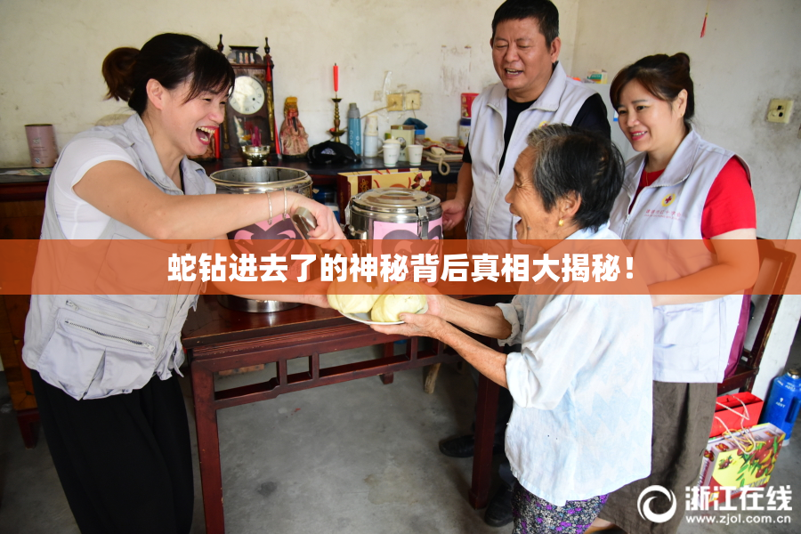 蛇钻进去了的神秘背后真相大揭秘！