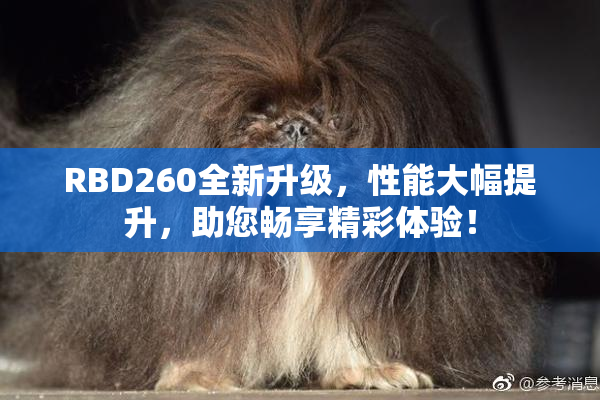 RBD260全新升级，性能大幅提升，助您畅享精彩体验！