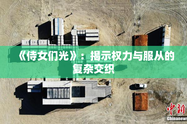 《侍女们光》：揭示权力与服从的复杂交织