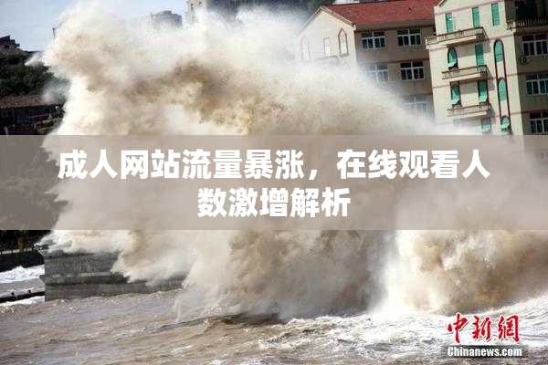 成人网站流量暴涨，在线观看人数激增解析