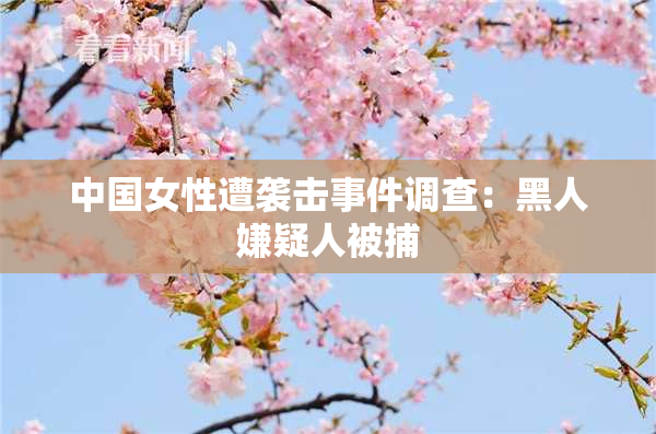 中国女性遭袭击事件调查：黑人嫌疑人被捕