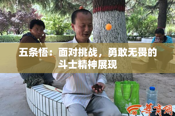 五条悟：面对挑战，勇敢无畏的斗士精神展现
