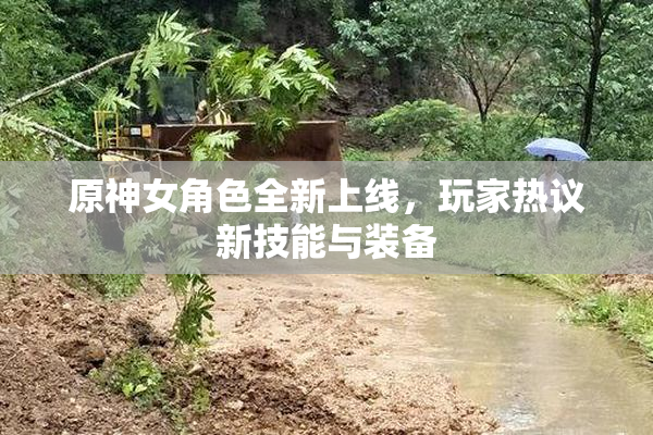 原神女角色全新上线，玩家热议新技能与装备