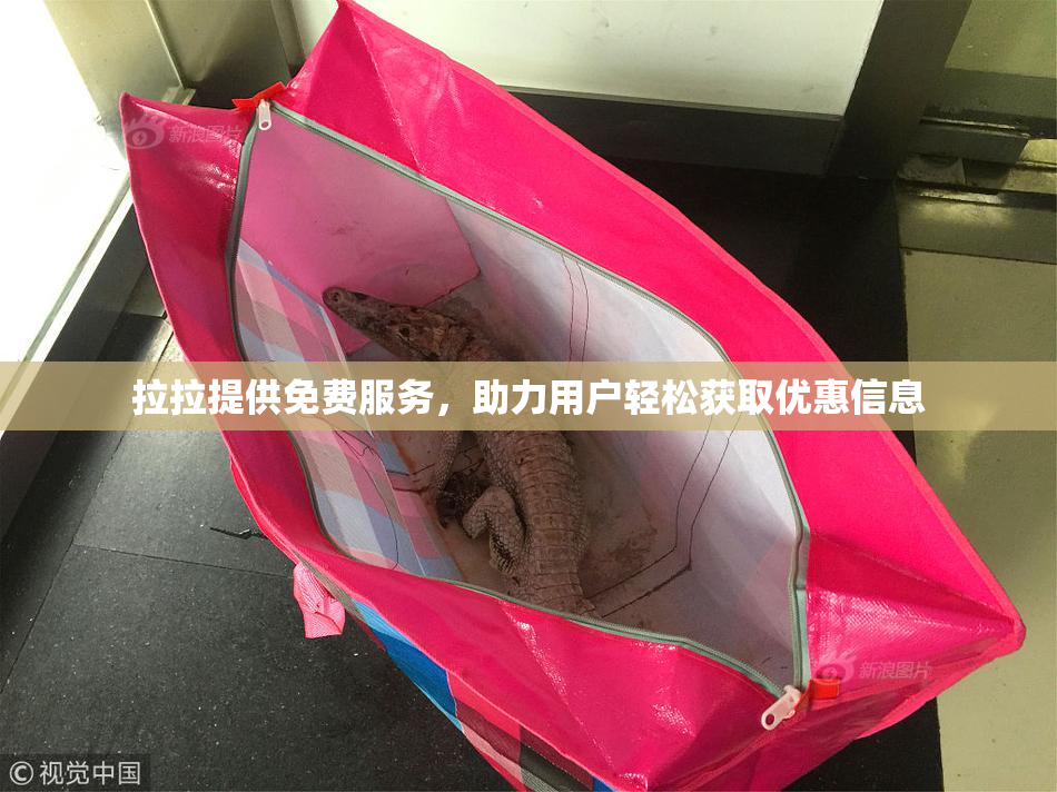 拉拉提供免费服务，助力用户轻松获取优惠信息