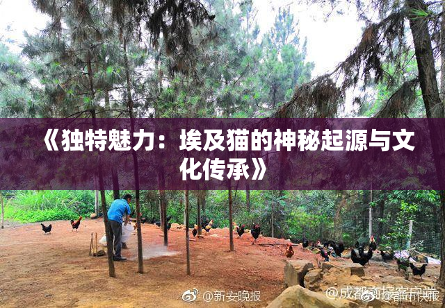 《独特魅力：埃及猫的神秘起源与文化传承》