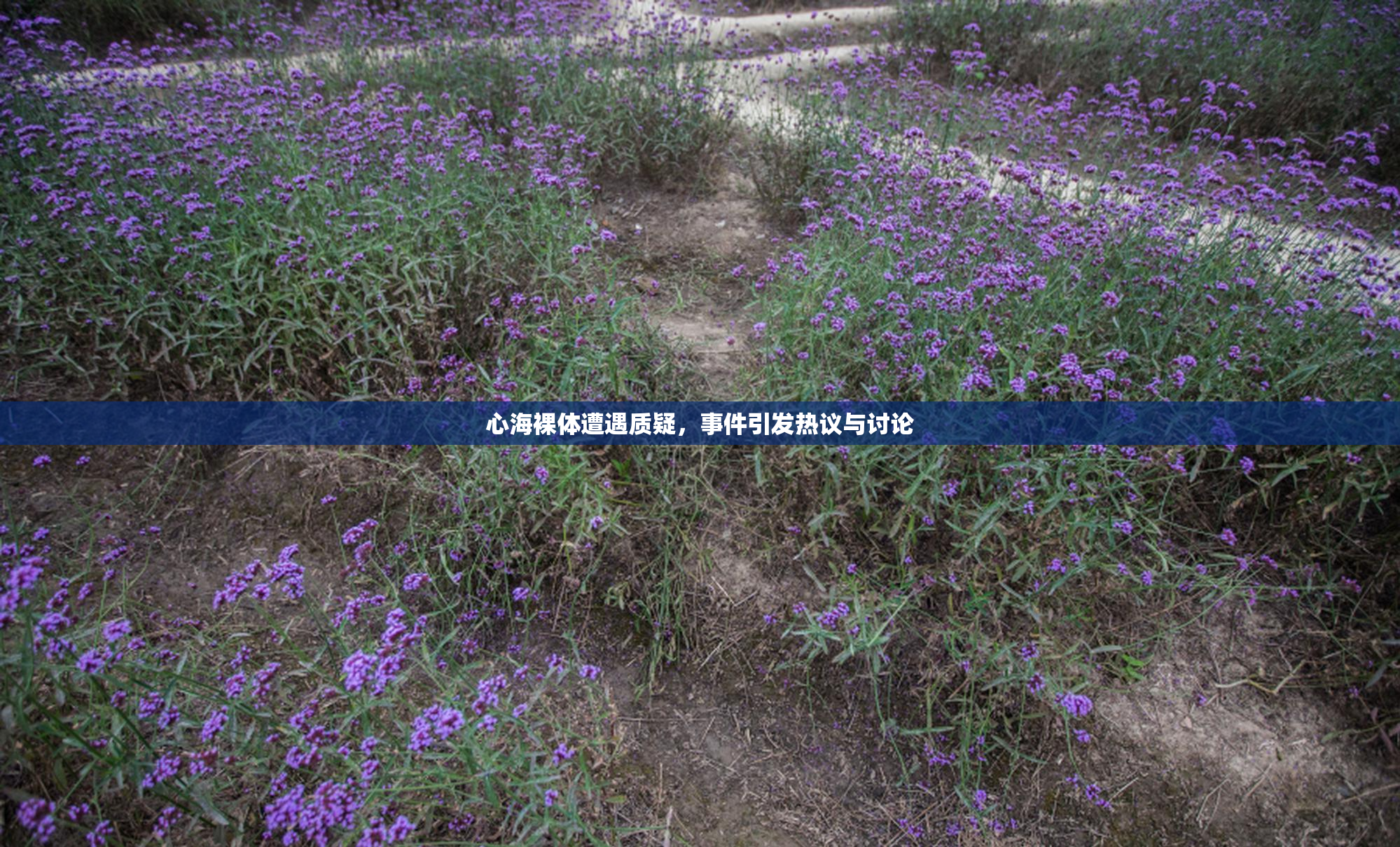 心海裸体遭遇质疑，事件引发热议与讨论