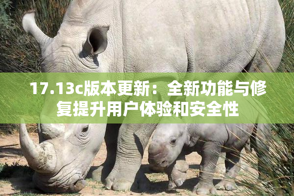 17.13c版本更新：全新功能与修复提升用户体验和安全性