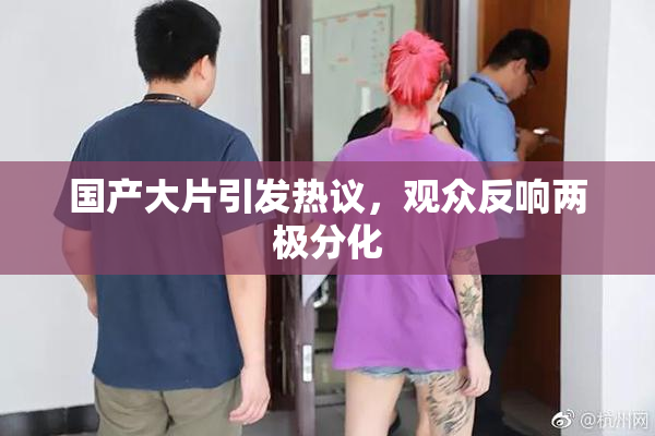 国产大片引发热议，观众反响两极分化