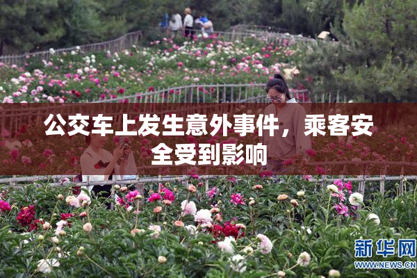公交车上发生意外事件，乘客安全受到影响