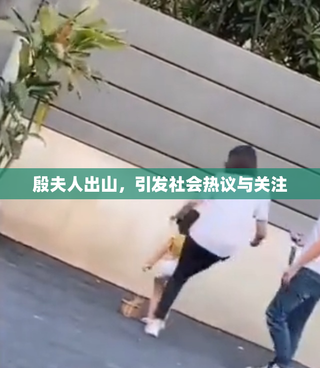 殷夫人出山，引发社会热议与关注
