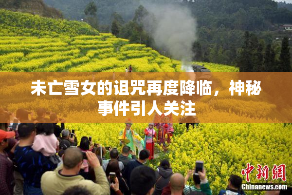 未亡雪女的诅咒再度降临，神秘事件引人关注