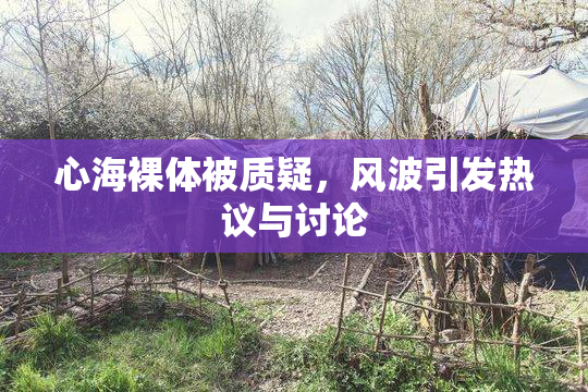 心海裸体被质疑，风波引发热议与讨论