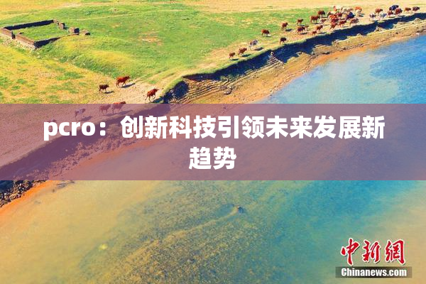 pcro：创新科技引领未来发展新趋势