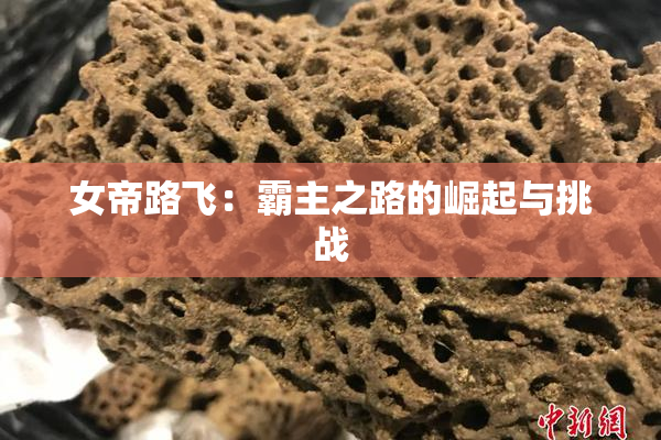 女帝路飞：霸主之路的崛起与挑战