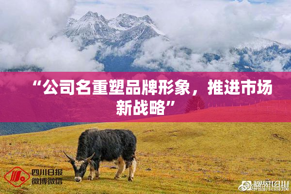 “公司名重塑品牌形象，推进市场新战略”