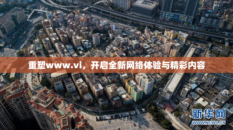 重塑www.vi，开启全新网络体验与精彩内容