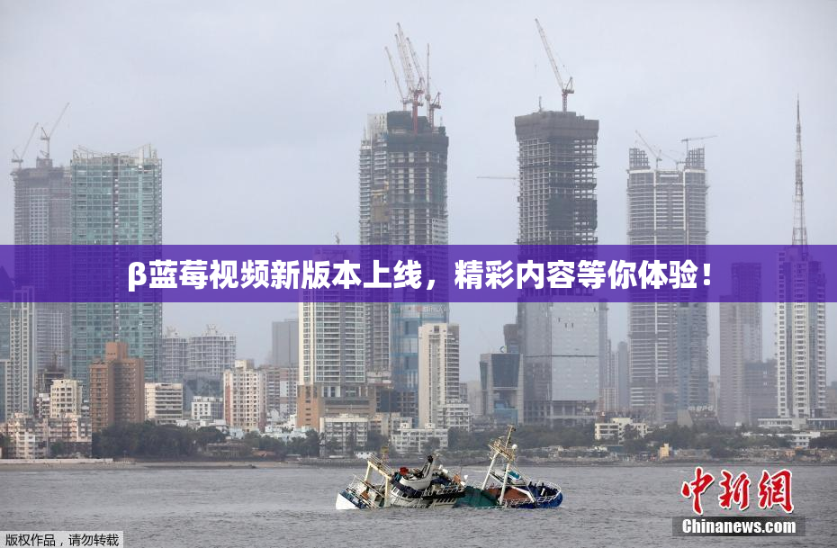 β蓝莓视频新版本上线，精彩内容等你体验！
