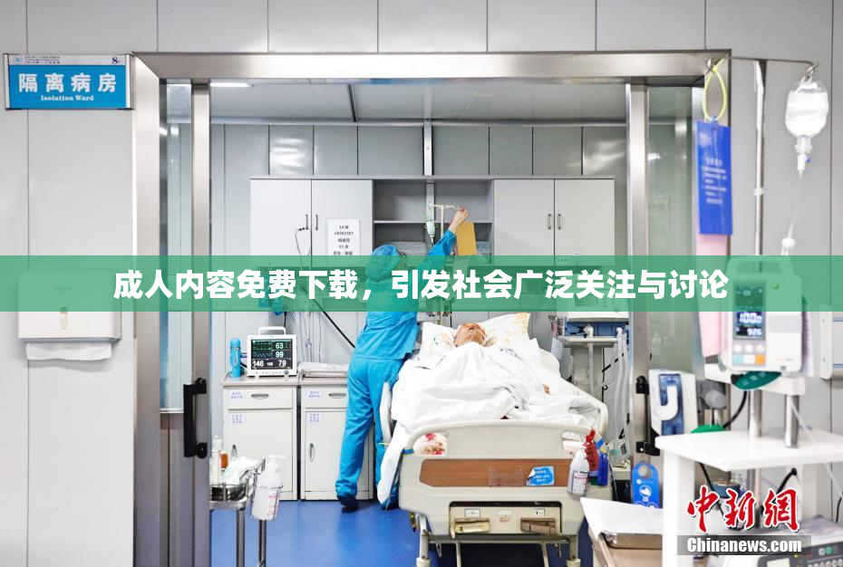 成人内容免费下载，引发社会广泛关注与讨论