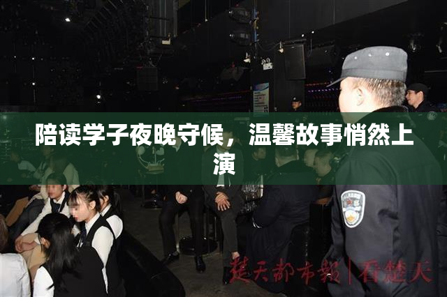 陪读学子夜晚守候，温馨故事悄然上演
