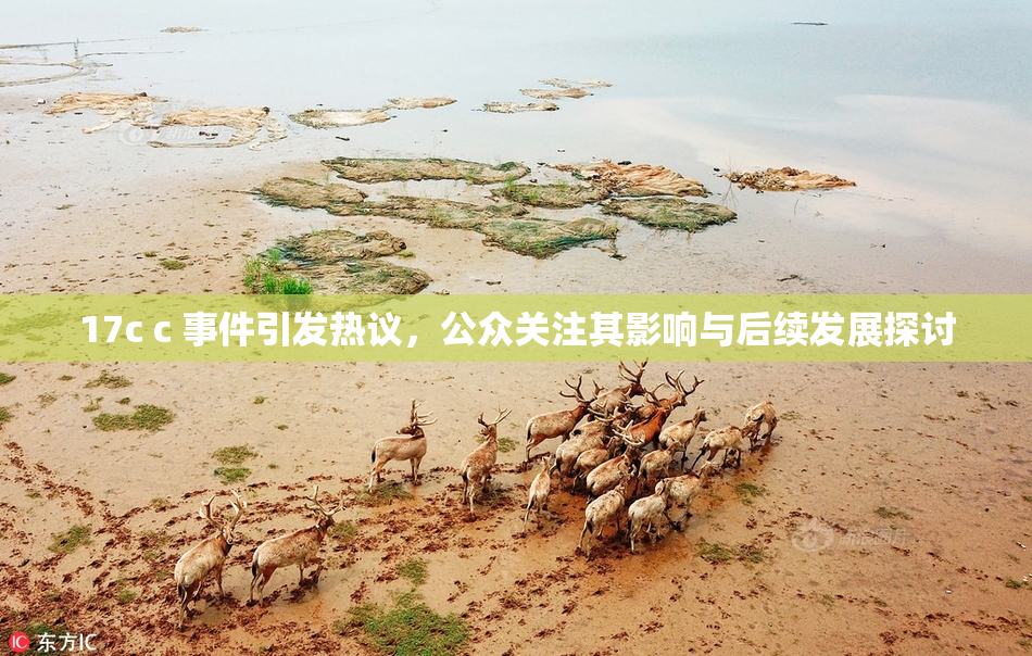 17c c 事件引发热议，公众关注其影响与后续发展探讨